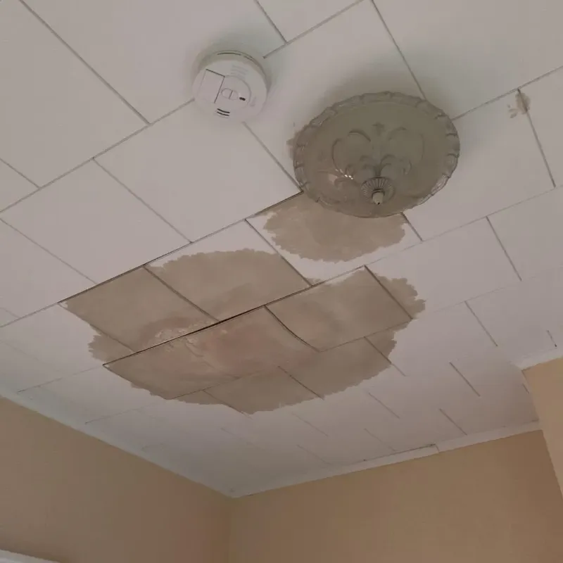 Ceiling Water Damage Repair in Ludowici, GA