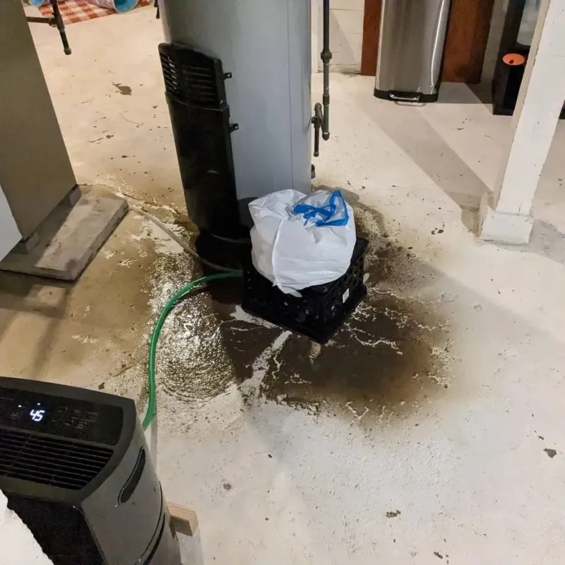 Sewage Backup Cleanup Service in Ludowici, GA
